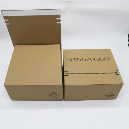 Custom Printed Corrugated Carboard Paper Gift Shipping Mailing Packing Box