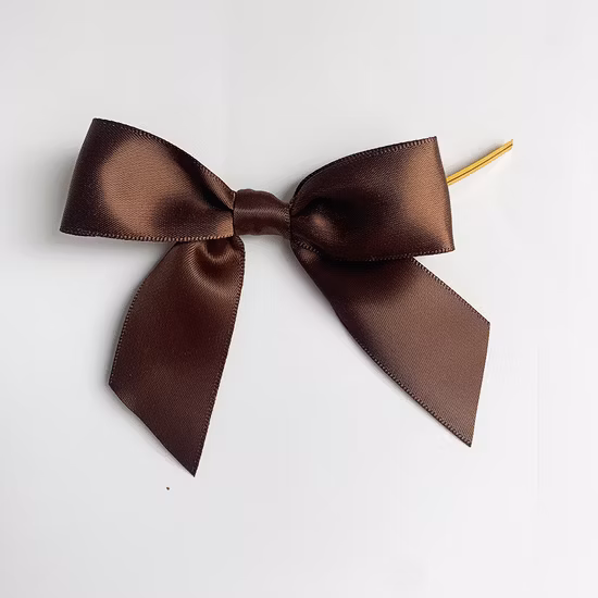 Elegant Ribbon Bow