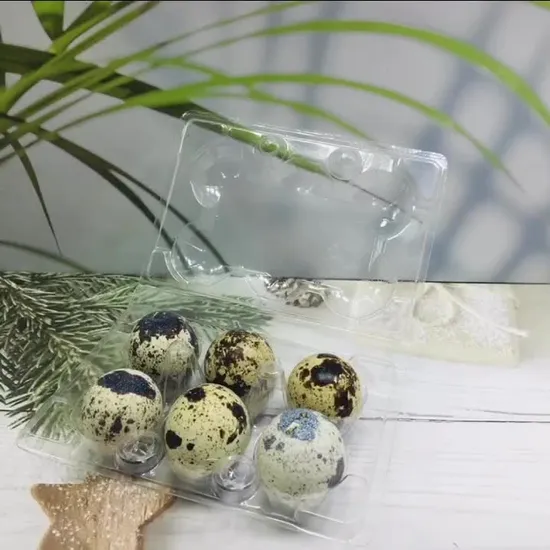 15 Holes Packer Clamshell Blister Plastic Quail Egg Tray